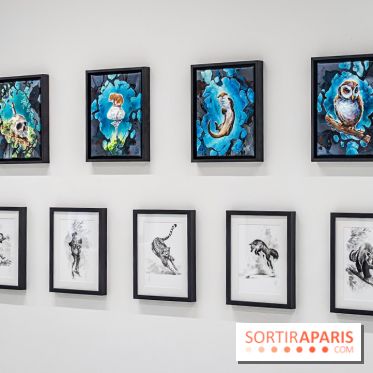 Le Festival Street-art de la Poste du Louvre 2025, les photos