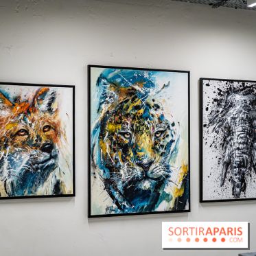 Le Festival Street-art de la Poste du Louvre 2025, les photos