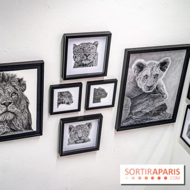 Le Festival Street-art de la Poste du Louvre 2025, les photos