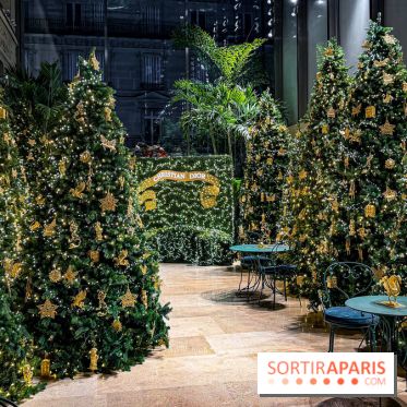 Noël 2025 Dior 30 Montaigne - IMG 1968