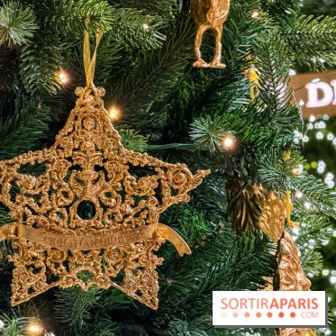 Noël 2025 Dior 30 Montaigne