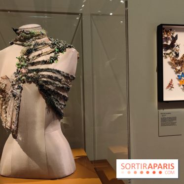 Momies : une exposition insolite et troublante à découvrir au musée de l'Homme - fotor 1763471284495