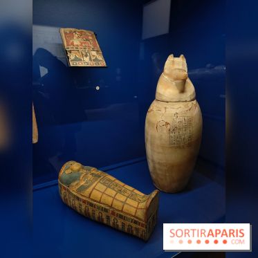 Momies : une exposition insolite et troublante à découvrir au musée de l'Homme