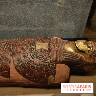 Momies : une exposition insolite et troublante à découvrir au musée de l'Homme