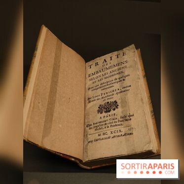 Momies : une exposition insolite et troublante à découvrir au musée de l'Homme - fotor 1763471586629