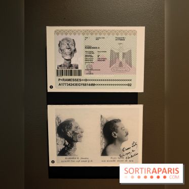 Momies : une exposition insolite et troublante à découvrir au musée de l'Homme