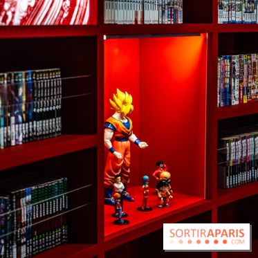 Exposition Manga au Musée Guimet, les photos