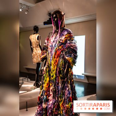 Exposition Manga au Musée Guimet, les photos  - A7C01190