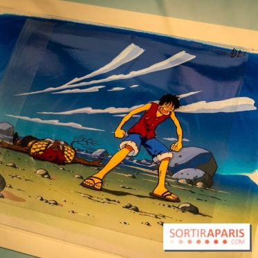 Exposition Manga au Musée Guimet, les photos  - A7C01211