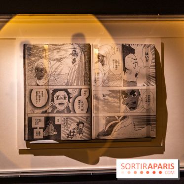 Exposition Manga au Musée Guimet, les photos