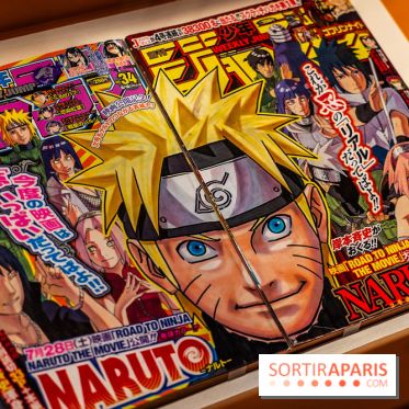 Exposition Manga au Musée Guimet, les photos