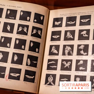 Exposition Manga au Musée Guimet, les photos  - A7C01228