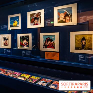 Exposition Manga au Musée Guimet, les photos