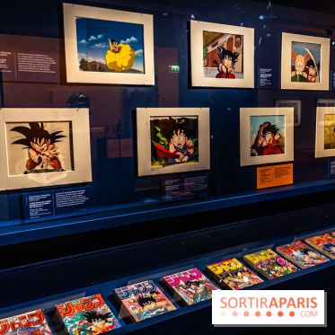 Exposition Manga au Musée Guimet, les photos