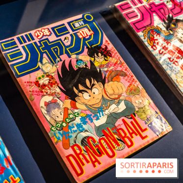Exposition Manga au Musée Guimet, les photos