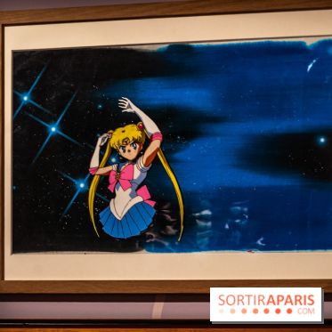 Exposition Manga au Musée Guimet, les photos  - A7C01250