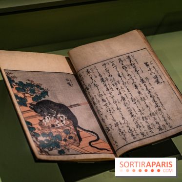 Exposition Manga au Musée Guimet, les photos