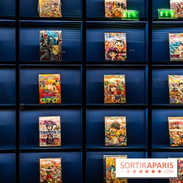 Exposition Manga au Musée Guimet, les photos