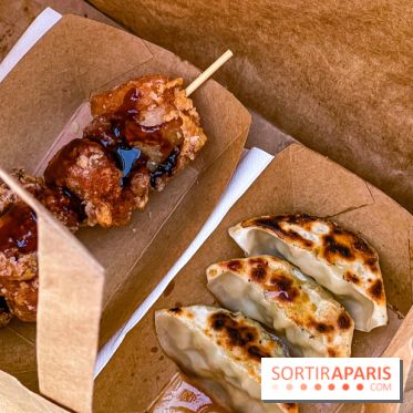 Versailles Electro 2025, la soirée electro du château de Versailles  - IMG 5091