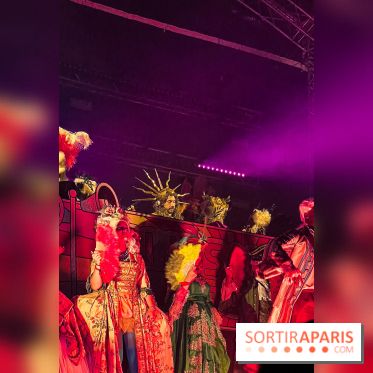 Versailles Electro 2025, la soirée electro du château de Versailles  - IMG 5236