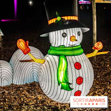 L'Odyssée Lumineuse au Parc Floral 2025, les photos