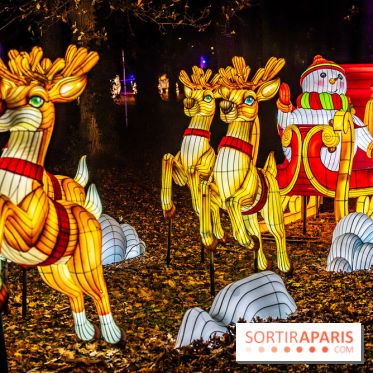L'Odyssée Lumineuse au Parc Floral 2025, les photos