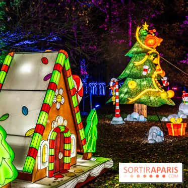 L'Odyssée Lumineuse au Parc Floral 2025, les photos