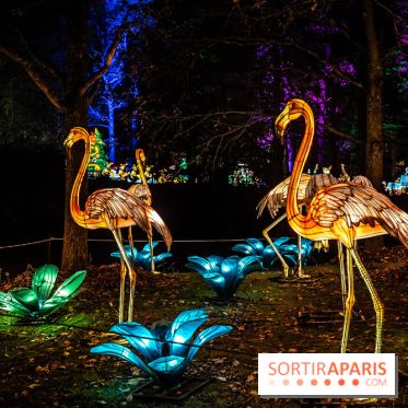 L'Odyssée Lumineuse au Parc Floral 2025, les photos