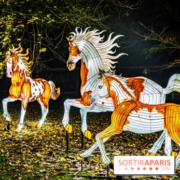 L'Odyssée Lumineuse au Parc Floral 2025, les photos