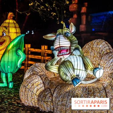 L'Odyssée Lumineuse au Parc Floral 2025, les photos