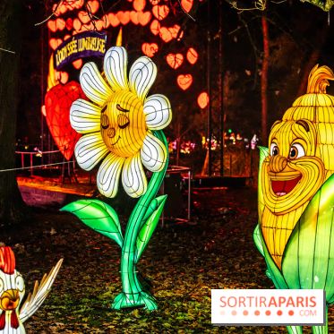 L'Odyssée Lumineuse au Parc Floral 2025, les photos