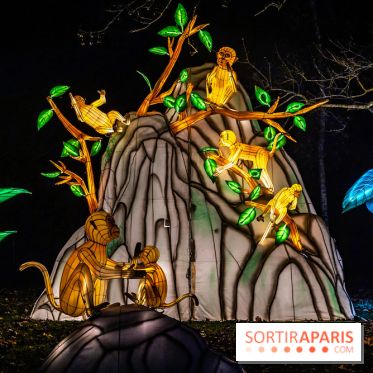 L'Odyssée Lumineuse au Parc Floral 2025, les photos