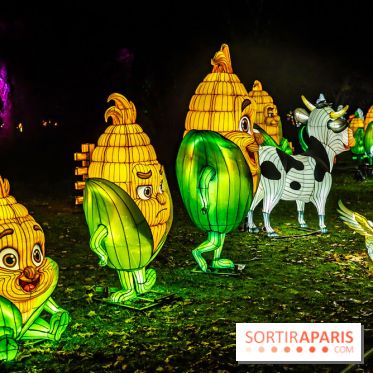 L'Odyssée Lumineuse au Parc Floral 2025, les photos