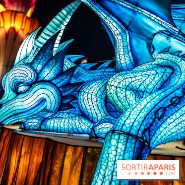 L'Odyssée Lumineuse au Parc Floral 2025, les photos - A7C01797