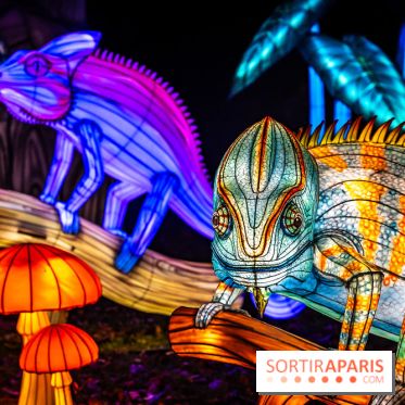 L'Odyssée Lumineuse au Parc Floral 2025, les photos