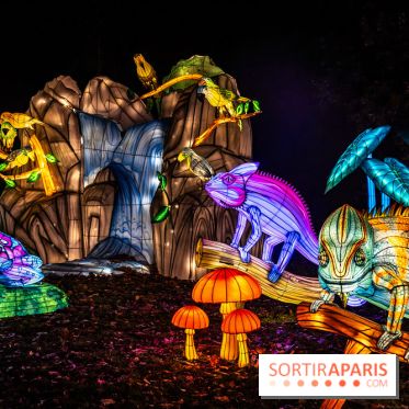 L'Odyssée Lumineuse au Parc Floral 2025, les photos