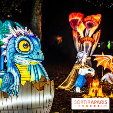 L'Odyssée Lumineuse au Parc Floral 2025, les photos