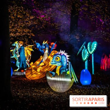 L'Odyssée Lumineuse au Parc Floral 2025, les photos