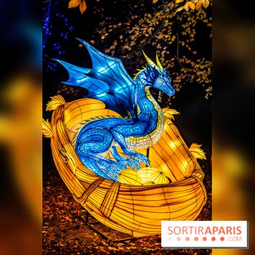 L'Odyssée Lumineuse au Parc Floral 2025, les photos - A7C01793