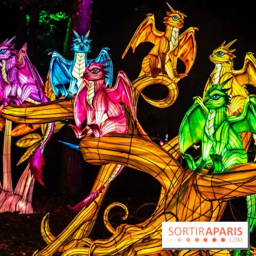 L'Odyssée Lumineuse au Parc Floral 2025, les photos