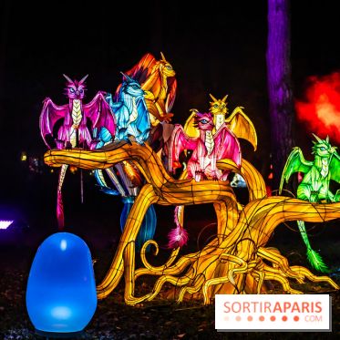 L'Odyssée Lumineuse au Parc Floral 2025, les photos