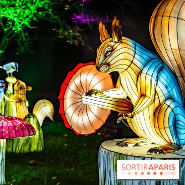 L'Odyssée Lumineuse au Parc Floral 2025, les photos