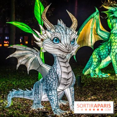 L'Odyssée Lumineuse au Parc Floral 2025, les photos