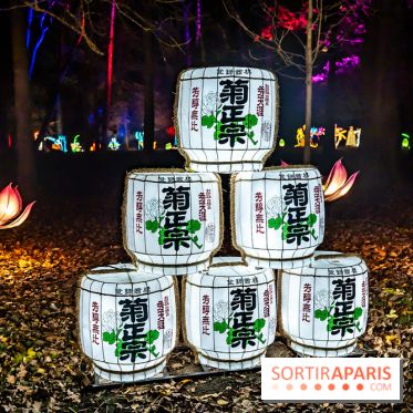 L'Odyssée Lumineuse au Parc Floral 2025, les photos - A7C01782