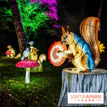 L'Odyssée Lumineuse au Parc Floral 2025, les photos