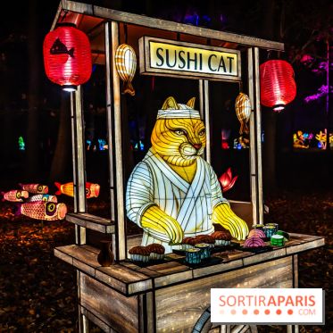 L'Odyssée Lumineuse au Parc Floral 2025, les photos