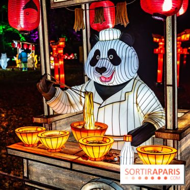 L'Odyssée Lumineuse au Parc Floral 2025, les photos - A7C01779