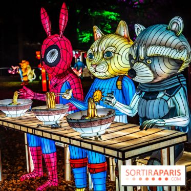 L'Odyssée Lumineuse au Parc Floral 2025, les photos
