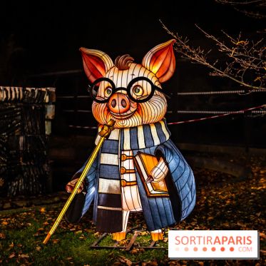 L'Odyssée Lumineuse au Parc Floral 2025, les photos