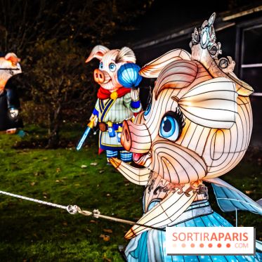 L'Odyssée Lumineuse au Parc Floral 2025, les photos